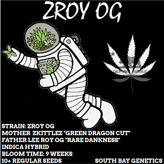 An image of ZRoy OG