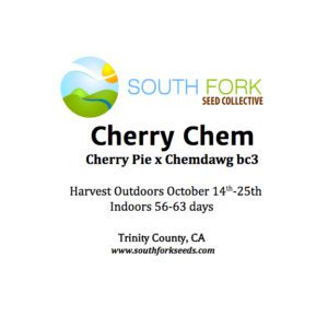 An image of Cherry Chem