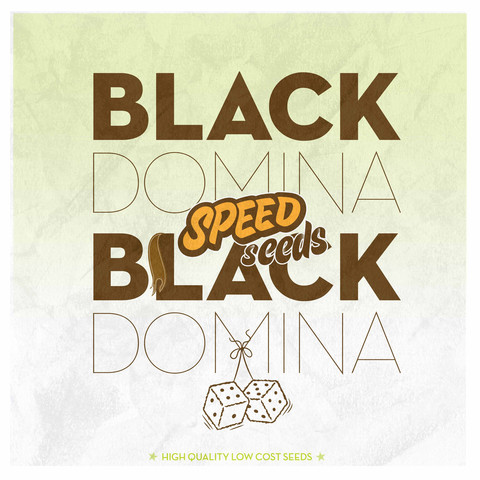 An image of Black Domina x Black Domina