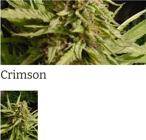 An image of Crimson