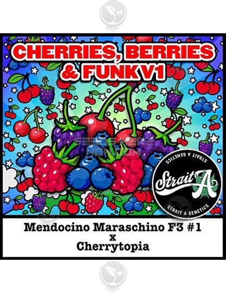 An image of Cherries, Berries & Funk V1