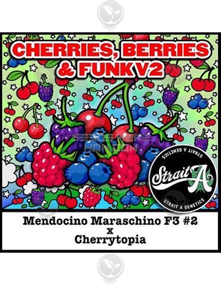 An image of Cherries, Berries & Funk V2