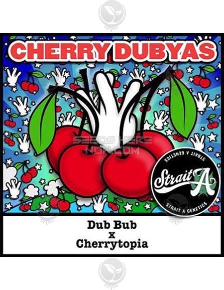 An image of Cherry Dubyas