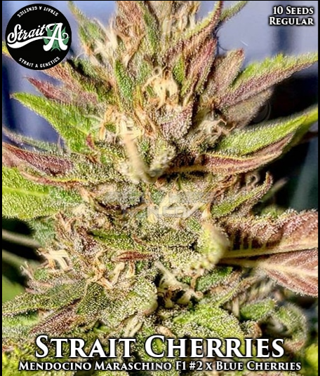 An image of Strait Cherries