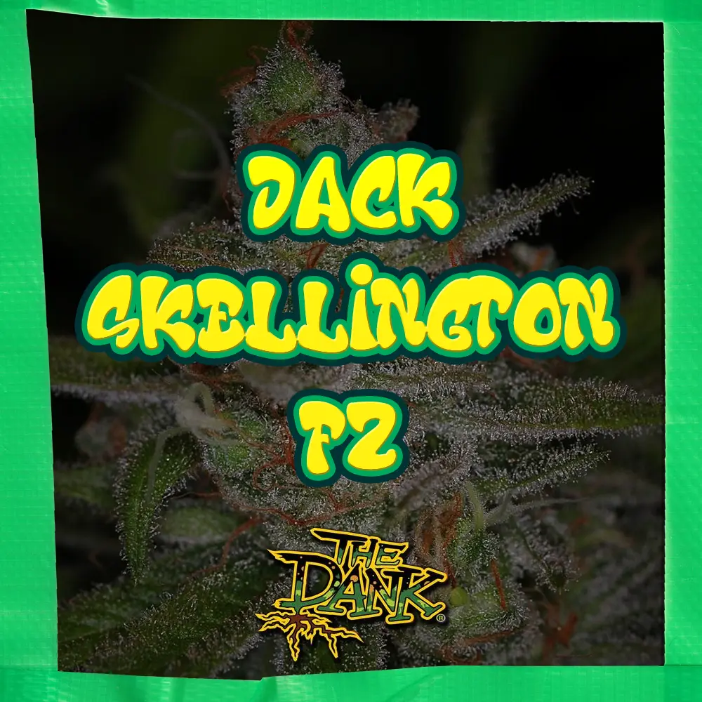 An image of Jack Skellington F2