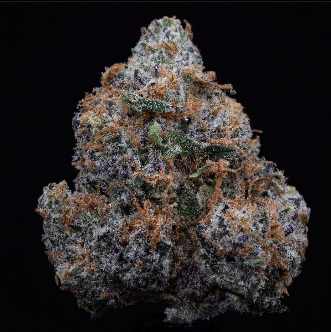 An image of Mendoz Stomper