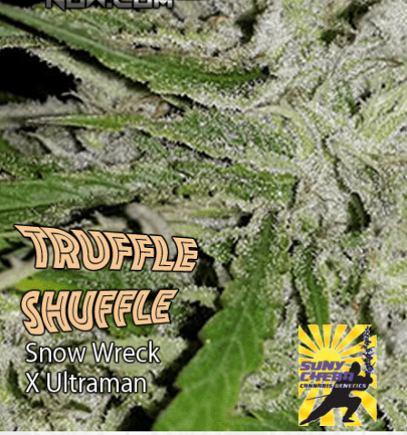 An image of Truffle Shuffle