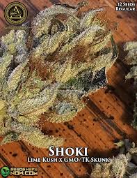 An image of Shoki