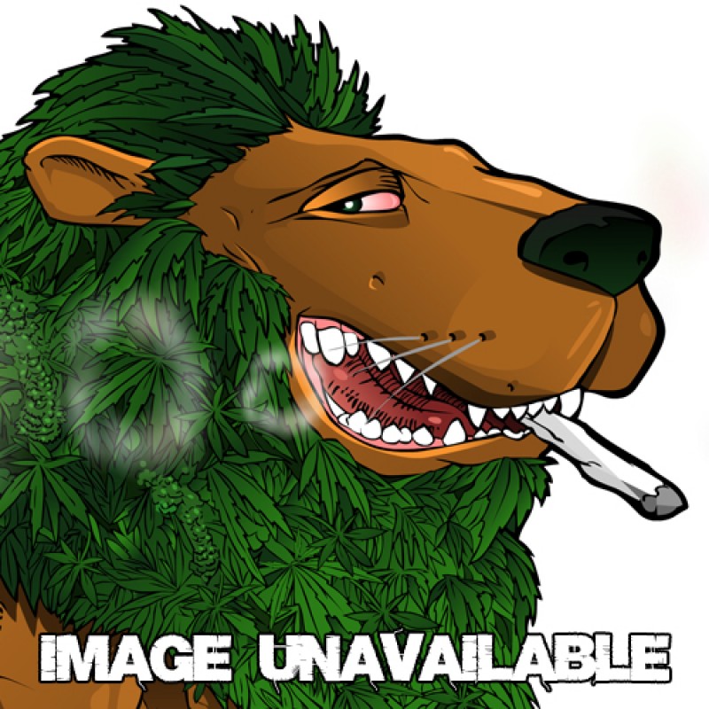 An image of Zit
