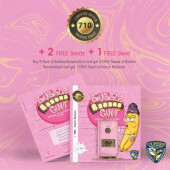 An image of BubbleBananaGum 710
