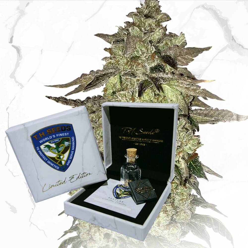 An image of Do-Si-Dos x Birthday Cake x Strawbanana Cream