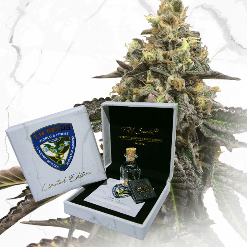 An image of French Cookies X Birthday Cake