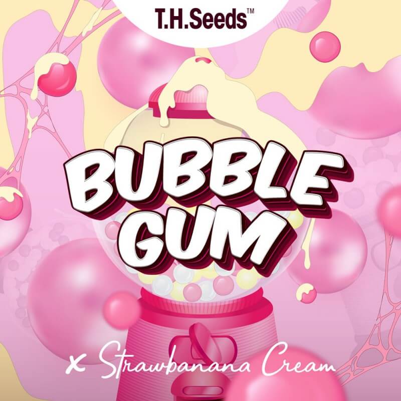 An image of OG Bubblegum X SBC