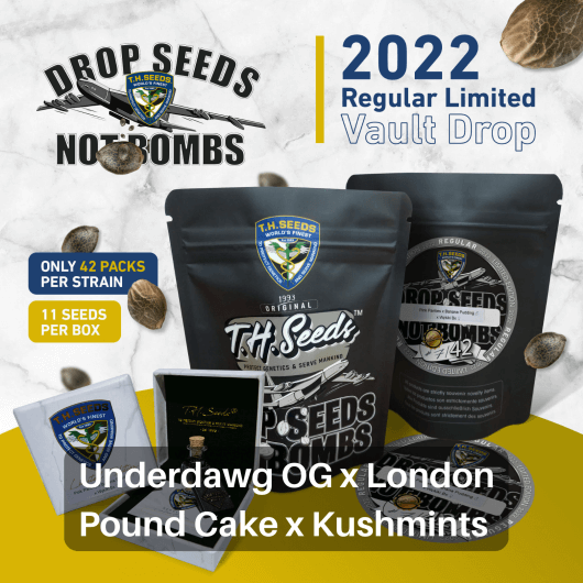 An image of Underdawg OG x London Pound Cake x Kushmints