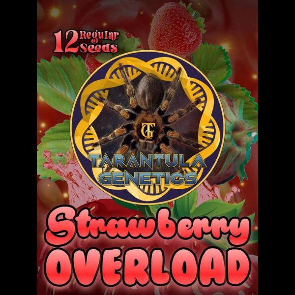 An image of Strawberry Overload