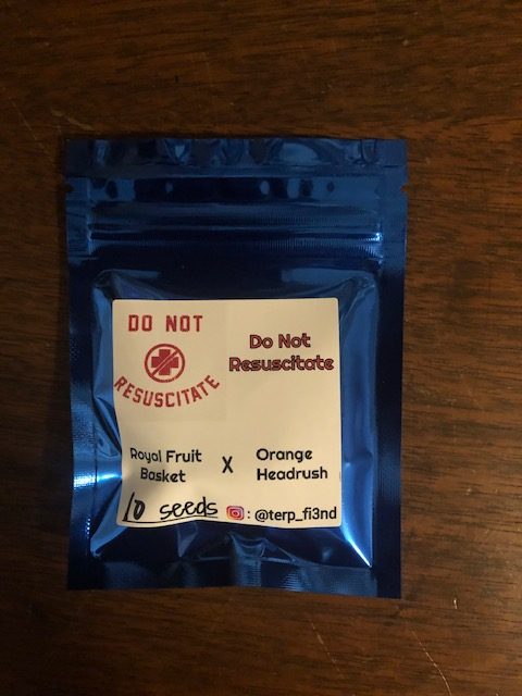 An image of Do Not Resuscitate
