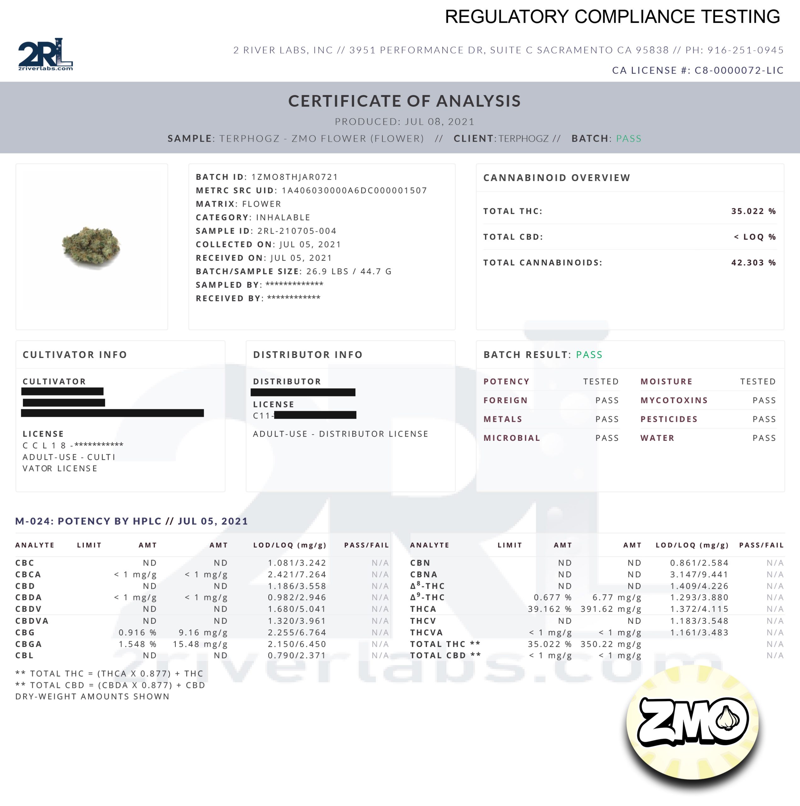 An image of ZMO