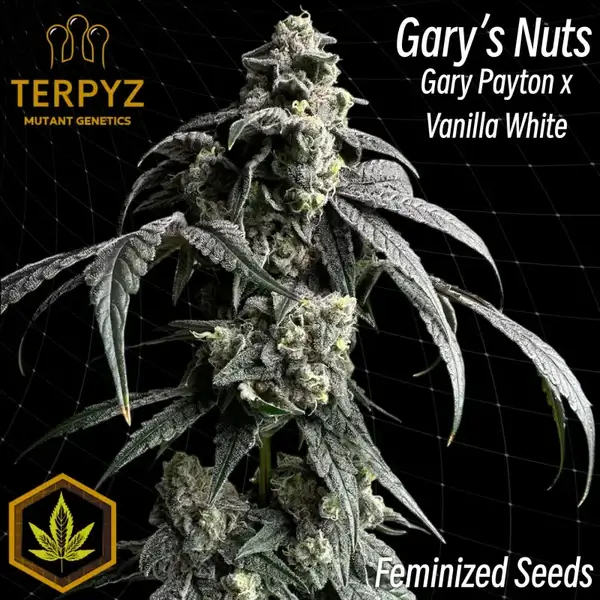 An image of Gary's Nuts