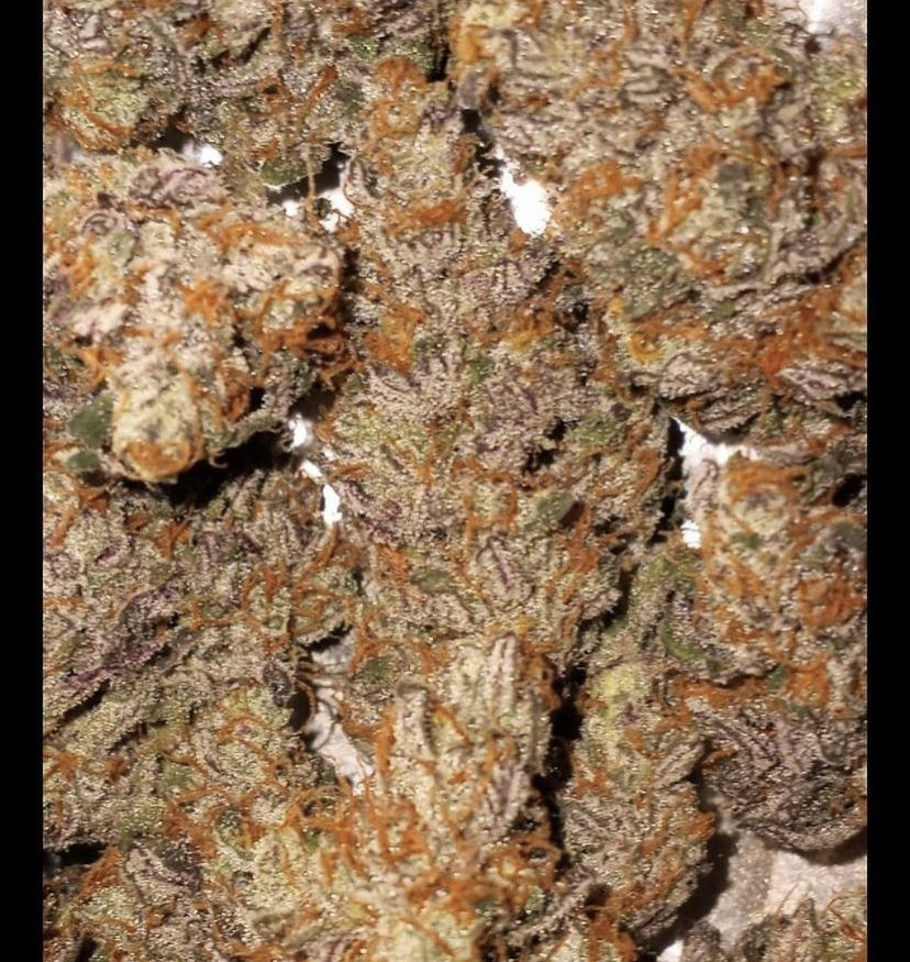 An image of Papis OG