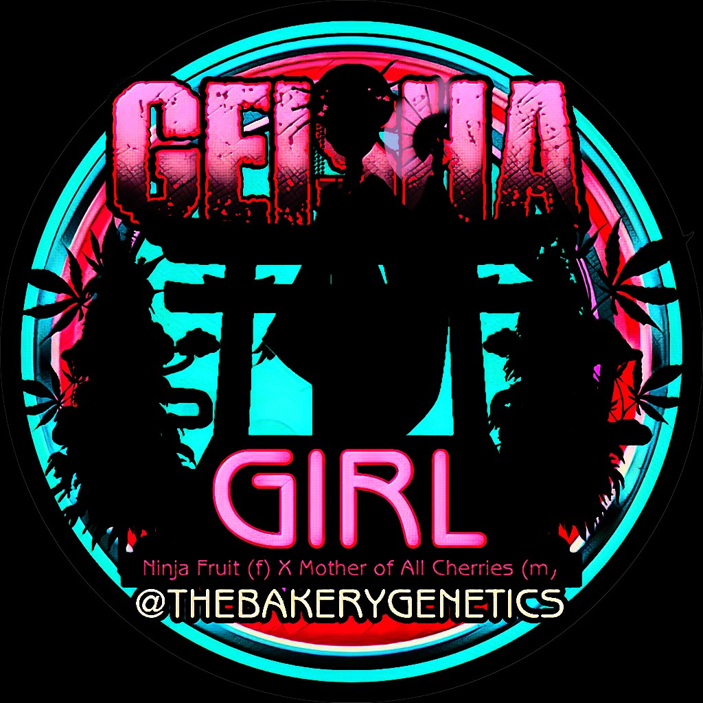 An image of Geisha Girl