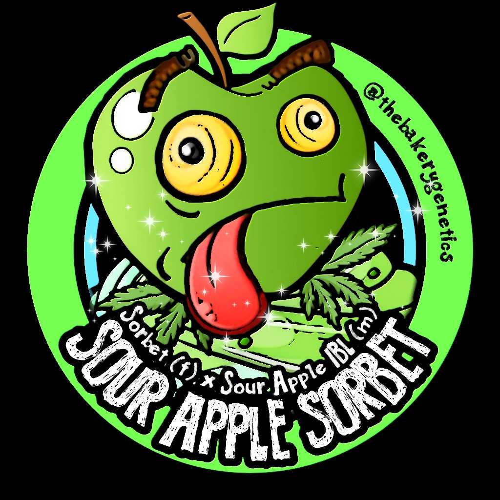 An image of Sour Apple Sorbet