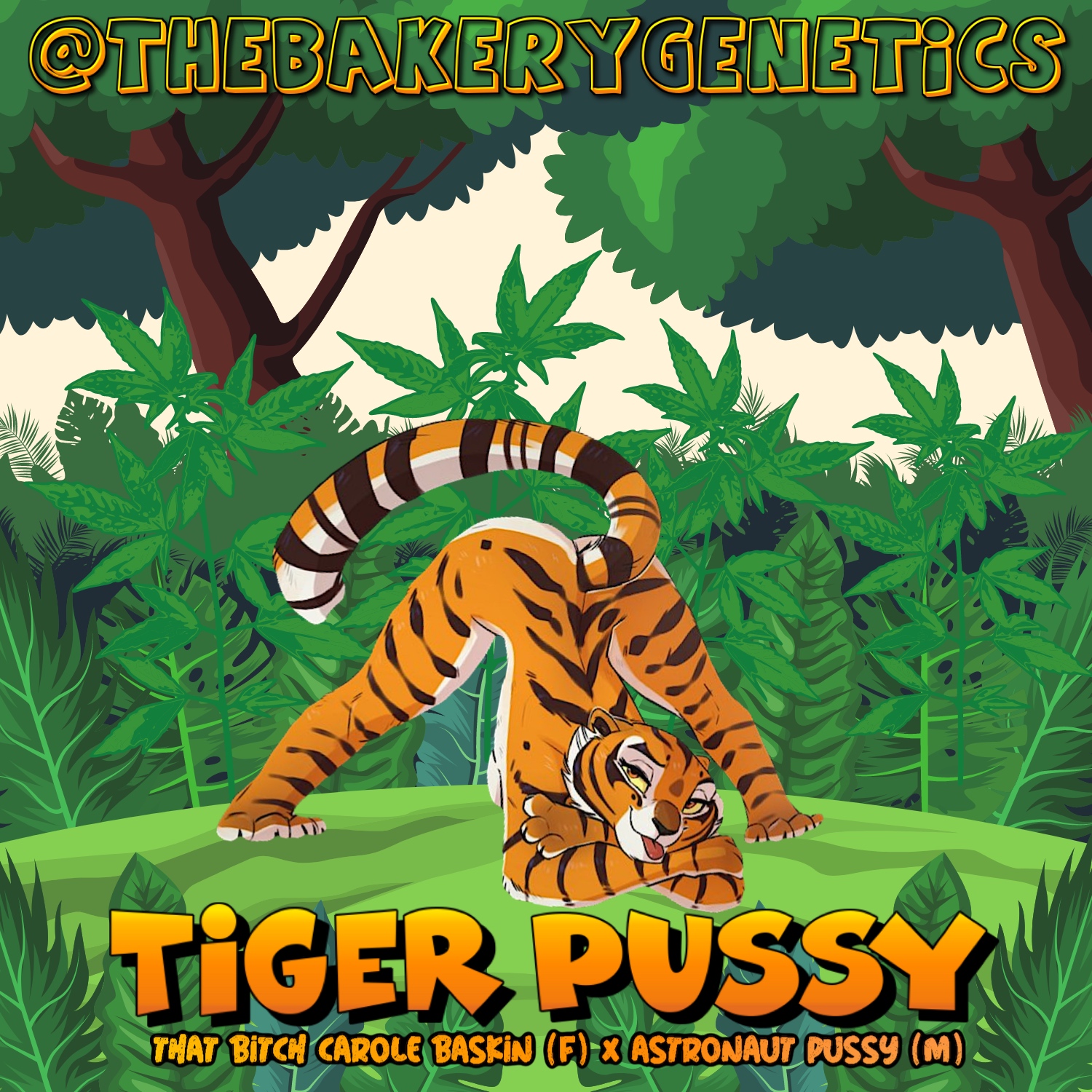An image of Tiger Pussy