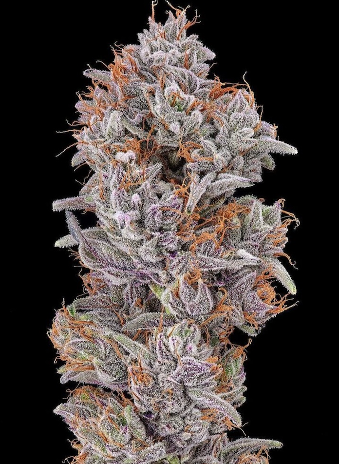 An image of Strawberry Delight