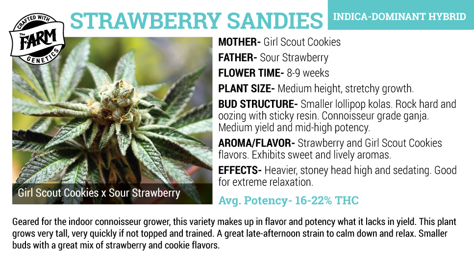 An image of Strawberry Sandies