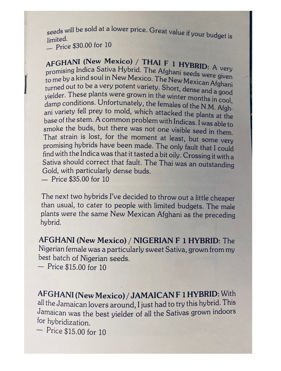 An image of Afghani (New Mexico) / Nigerian F1 Hybrid