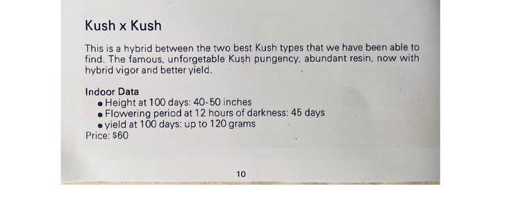 An image of Kush x Kush