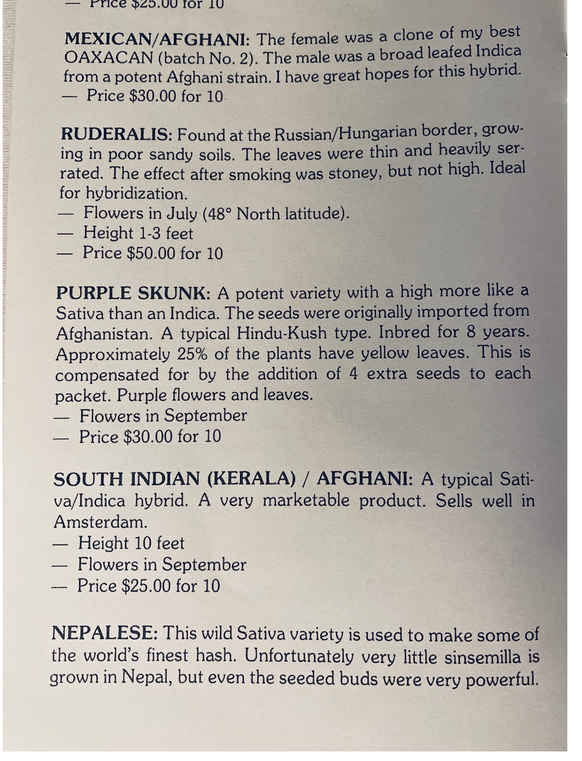 An image of Mexican / Afghani