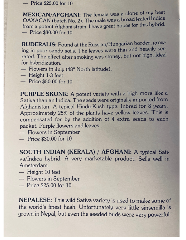 An image of Purple Skunk