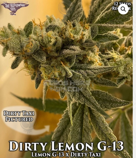 An image of Dirty Lemon G-13