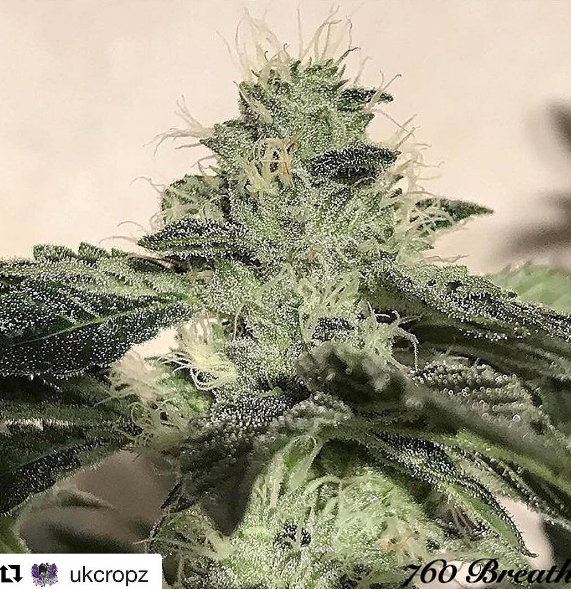 An image of 760 Breath