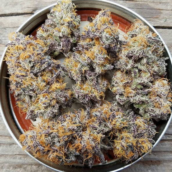 An image of Cherry Pie Breath