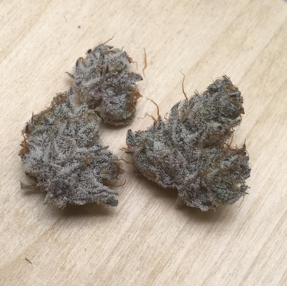 An image of Sherb Breath