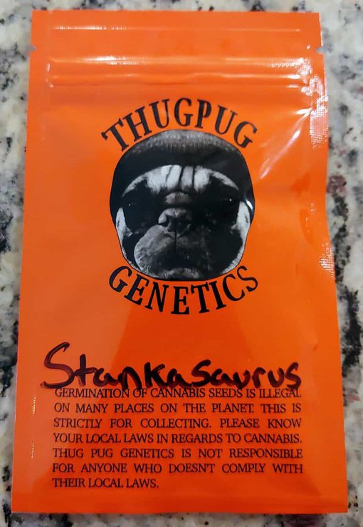An image of Stankasaurus