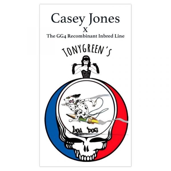An image of Casey Jones x The GG4 R.I.L