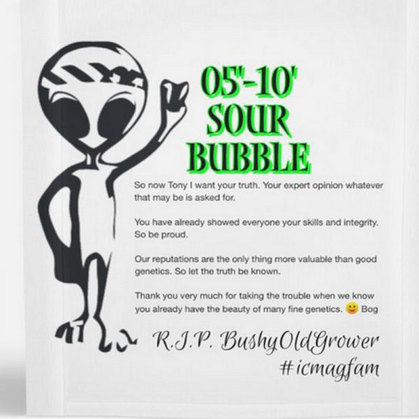 An image of Sour Bubble Tribute