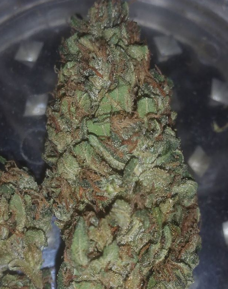An image of Devine Valley OG
