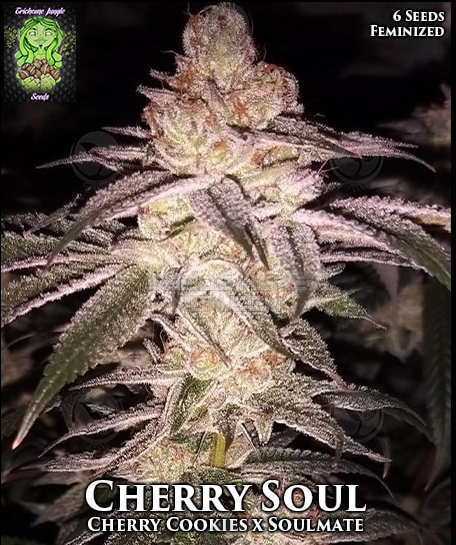 An image of Cherry Soul