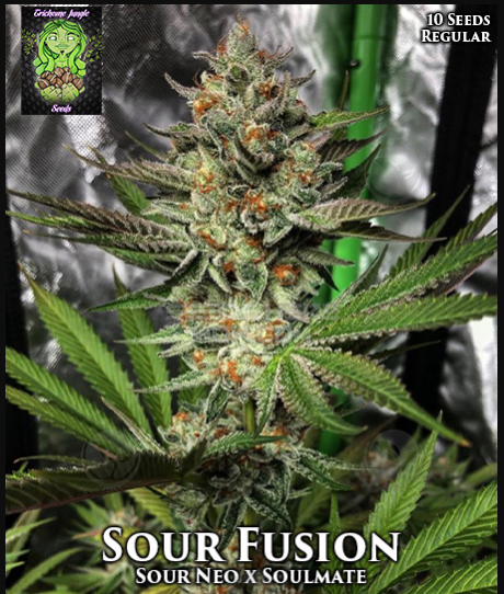 An image of Sour Fusion