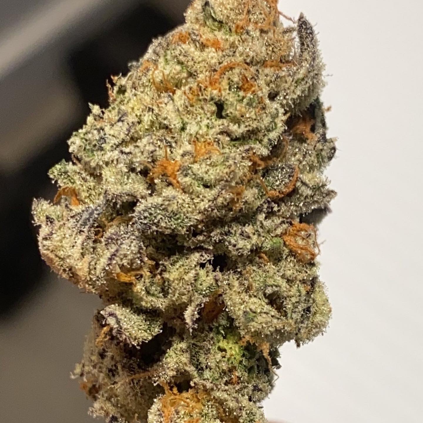 An image of Pink Taco