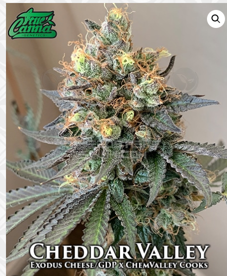 An image of Cheddar Valley