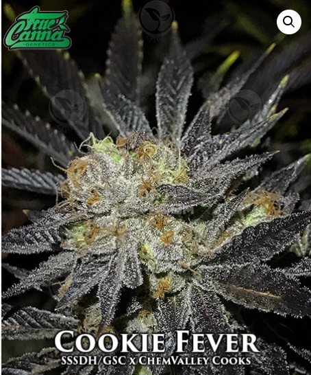 An image of Cookie Fever