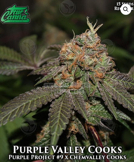 An image of Purple Valley Cooks
