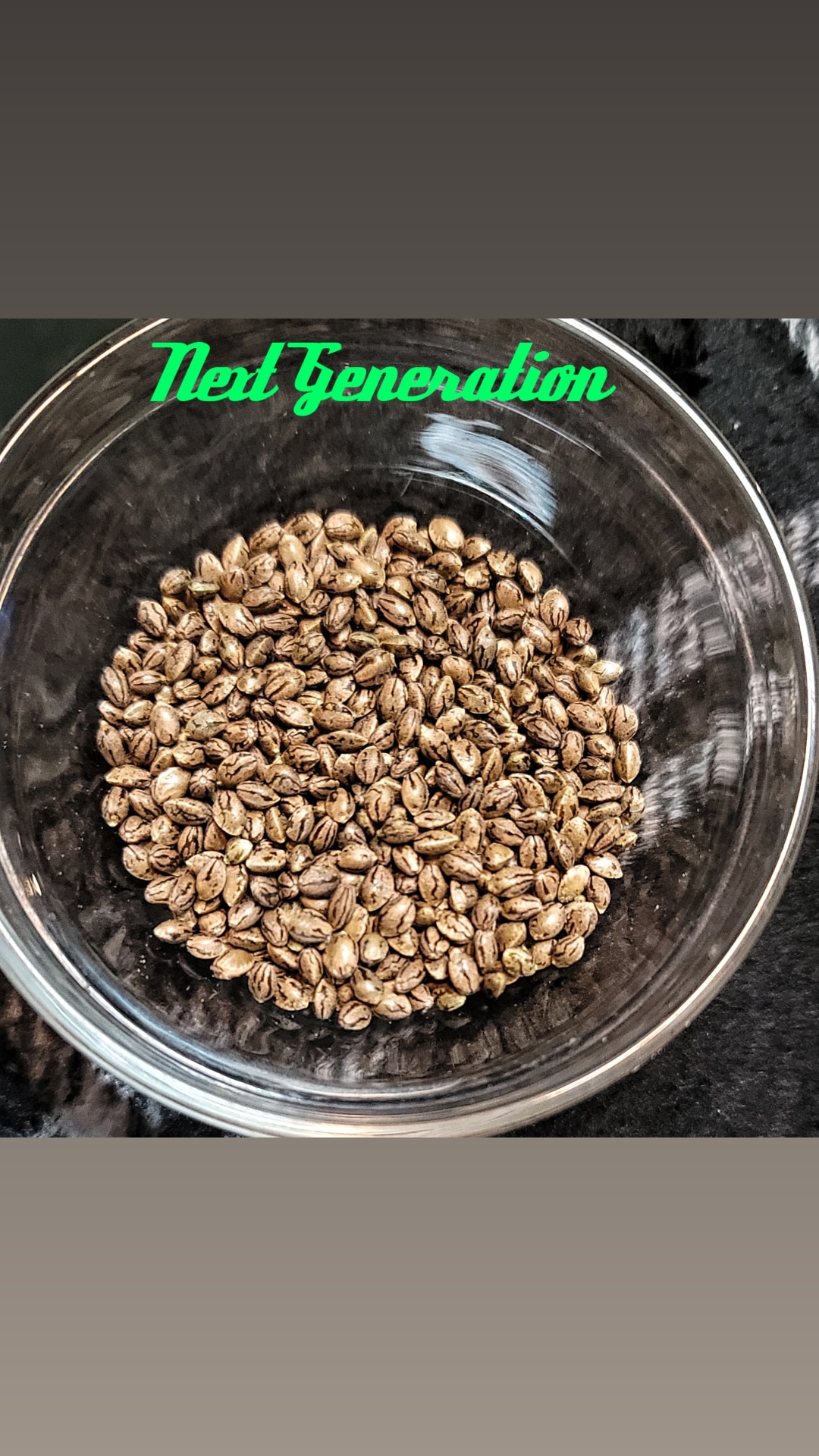 An image of Next Generation