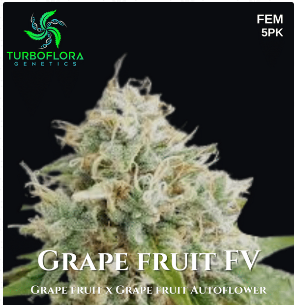 An image of Grape Fruit FV