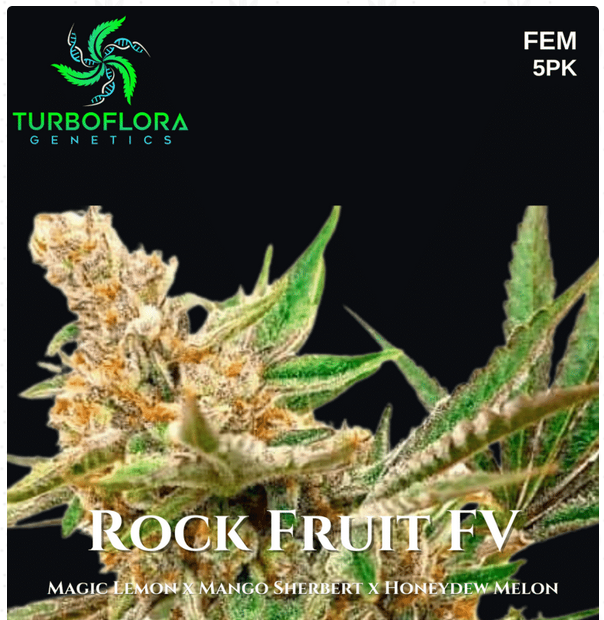 An image of Rock Fruit FV