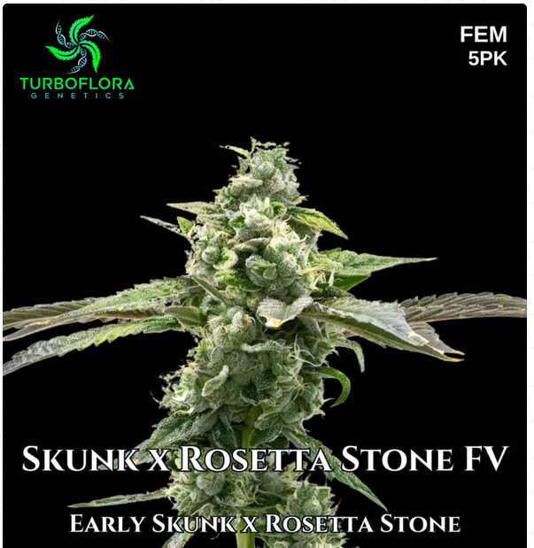 An image of Skunk x Rosetta Stone FW